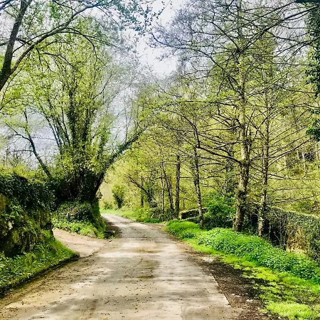 Casa Mayor Dom wakacyjny *