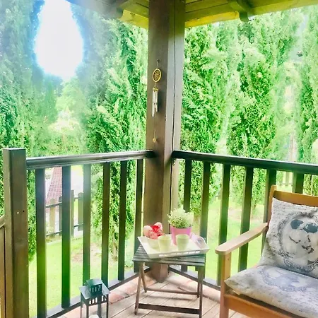 Casa Mayor Проживание в семье